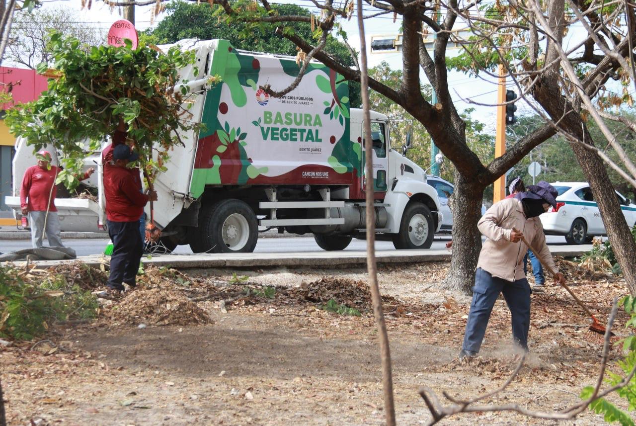 uploads/6/32/01 (1863).Jpeg